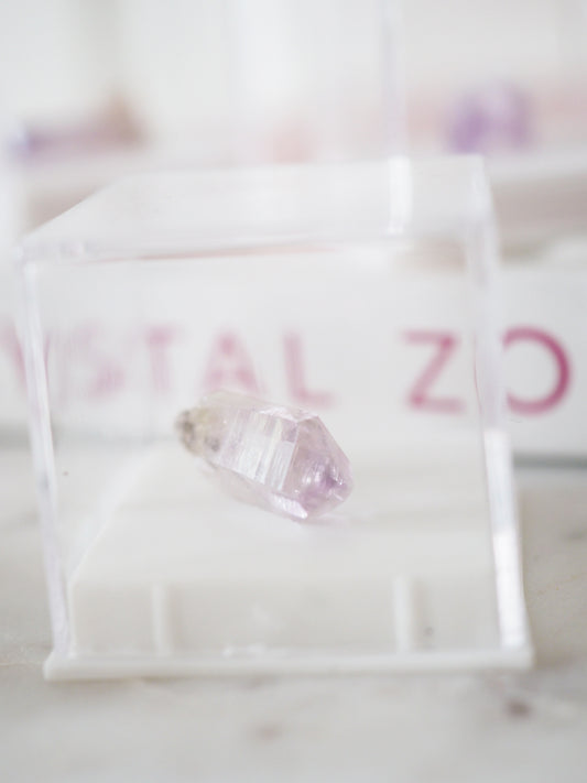 Vera Cruz Amethyst Spitze . MINI MINERALS IN BOX 3x3cm - aus Mexiko