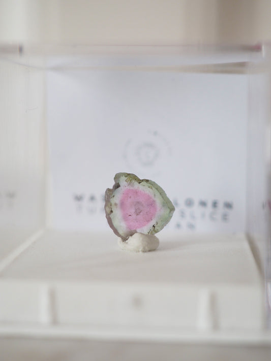 Wassermelonen Turmalin Slice . MINI MINERALS IN BOX 3x3cm - aus Pakistan