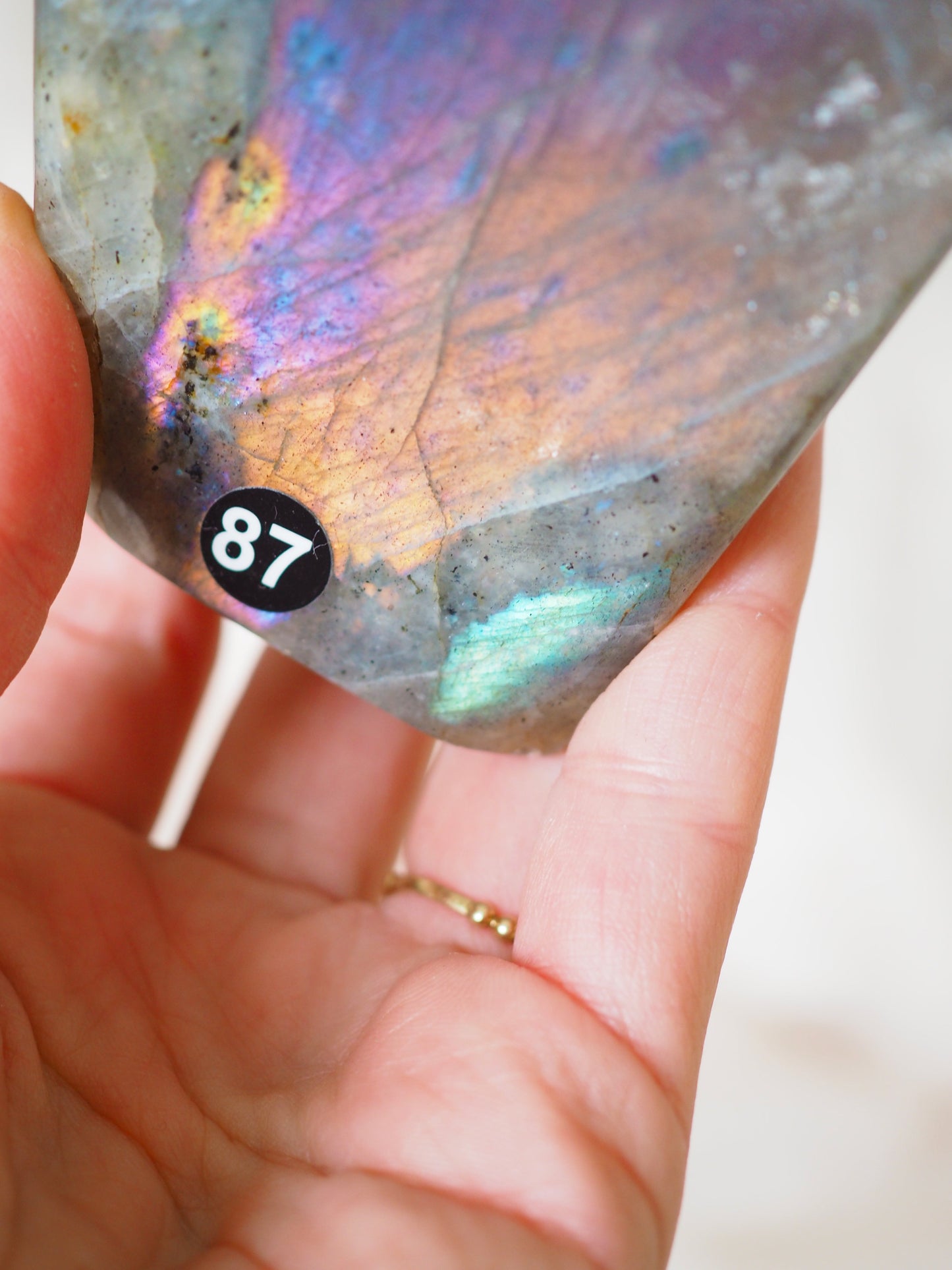 Pink Violett Goldener Sunset Labradorit Freifrom . FREEFORM 330g - aus Madagascar (87)