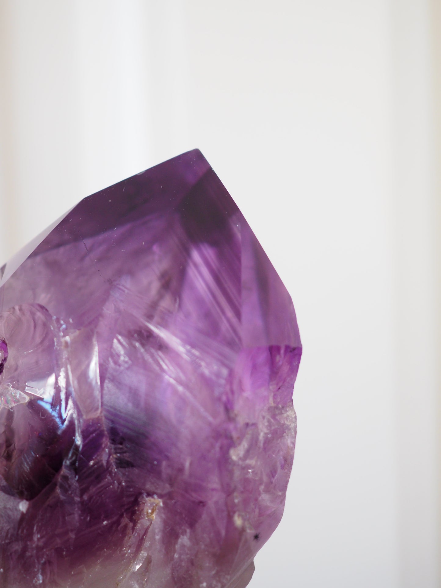XXL Jacare Amethyst Wurzel Roh . Stab Spitze Wurzel Wand Zauberstab 29 cm xxg - aus Bahia Brasilien HIGH QUALITY