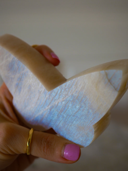 Weißer Mondstein Schmetterling ca xx cm Carving - aus Tansania HIGH QUALITY