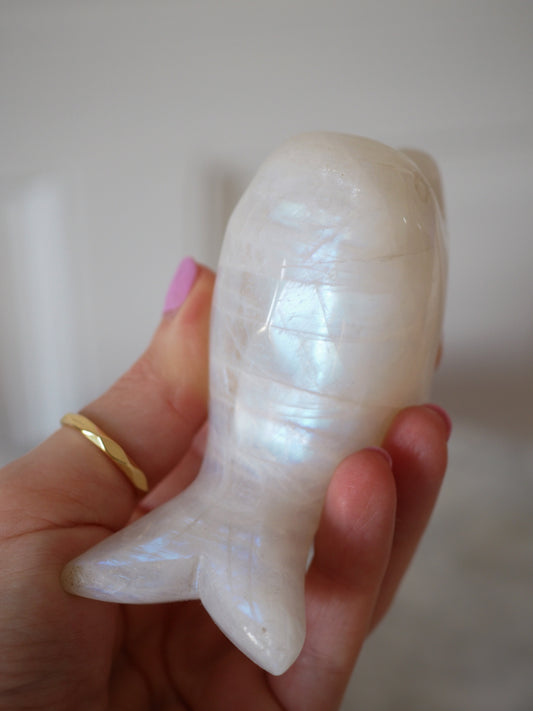 Weißer Mondstein Delfin ca xx cm Carving - aus Tansania HIGH QUALITY