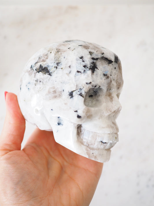 Regenbogen Mondstein Totenkopf . Rainbow Moonstone Skull ca. 11 x 10 cm xxx g - aus Indien . Handcarved in China High Quality