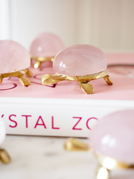 Gemmy Rosenquarz Schildkröte Messing ca 5.5 cm Carving - aus Madagascar HIGH QUALITY