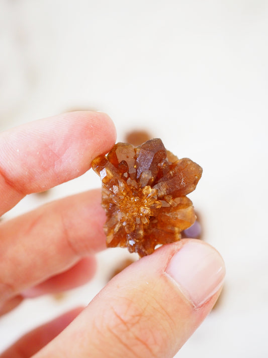 Golden Boulmen Citrin Cluster ca. 2cm - aus Boulmen Marokko NEW FIND