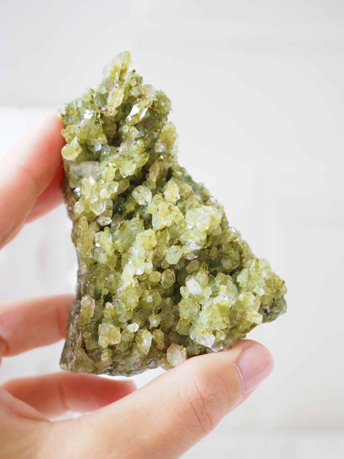 Epidot X Quarz . Forest Quartz ca.9cm- aus Yuksekova . Hakkari. Ost Anatolien Türkei NEW FIND HIGH QUALITY
