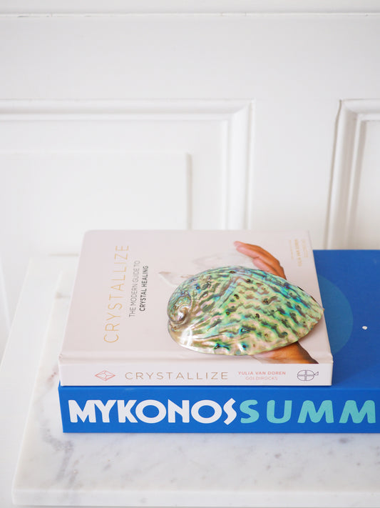 Abalone Muschel . Abalone Shell ca. 11.5 cm