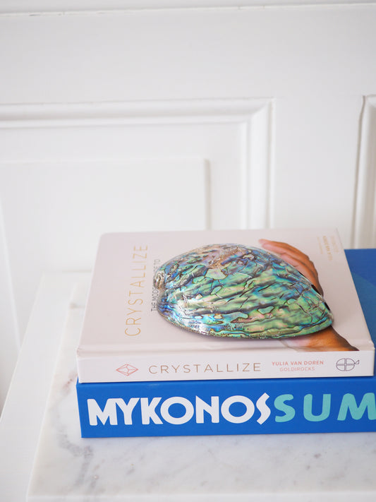 Abalone Muschel . Abalone Shell ca. 12.5 cm