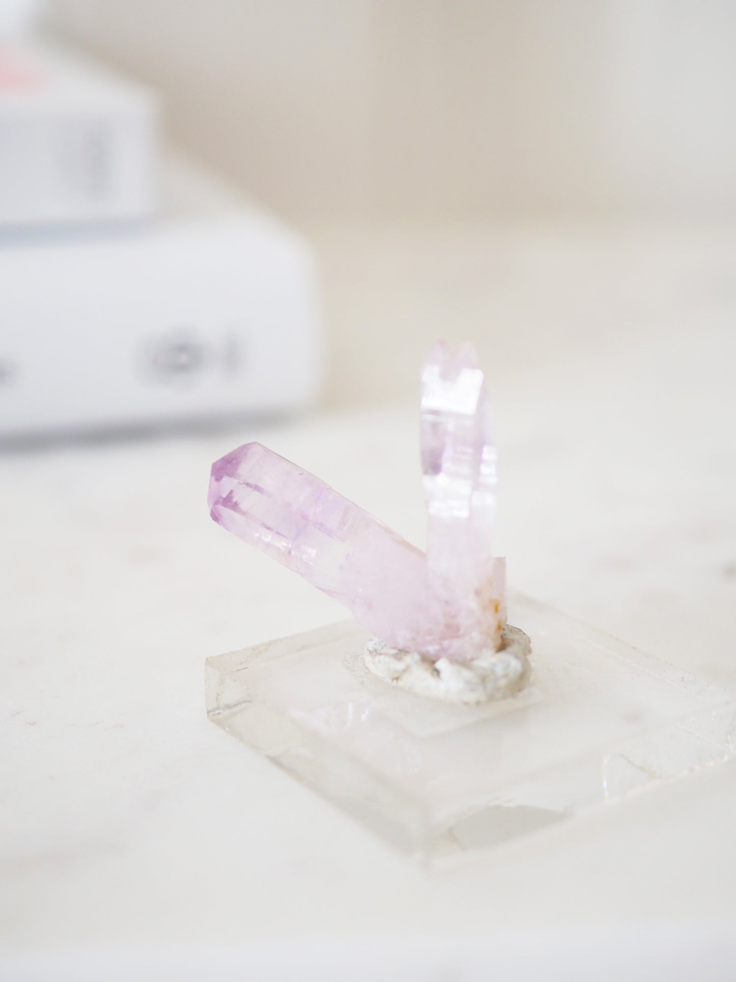 Very Cruz Amethyst Cluster No 5 - aus Las Vigas Veracruz Mexico