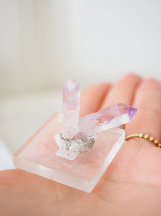 Very Cruz Amethyst Cluster No 5 - aus Las Vigas Veracruz Mexico