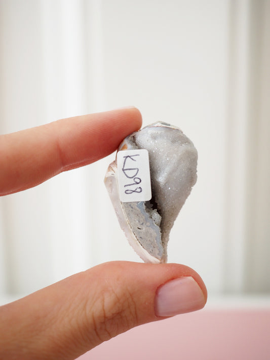 Kristallisierte Druzy Muschel EXKLUSIVE SELECTION . Schnecke ca. 400 Mio Jahre alt ca. 2 cm - aus Dhar Region Madhya Pradesh Indien RARE