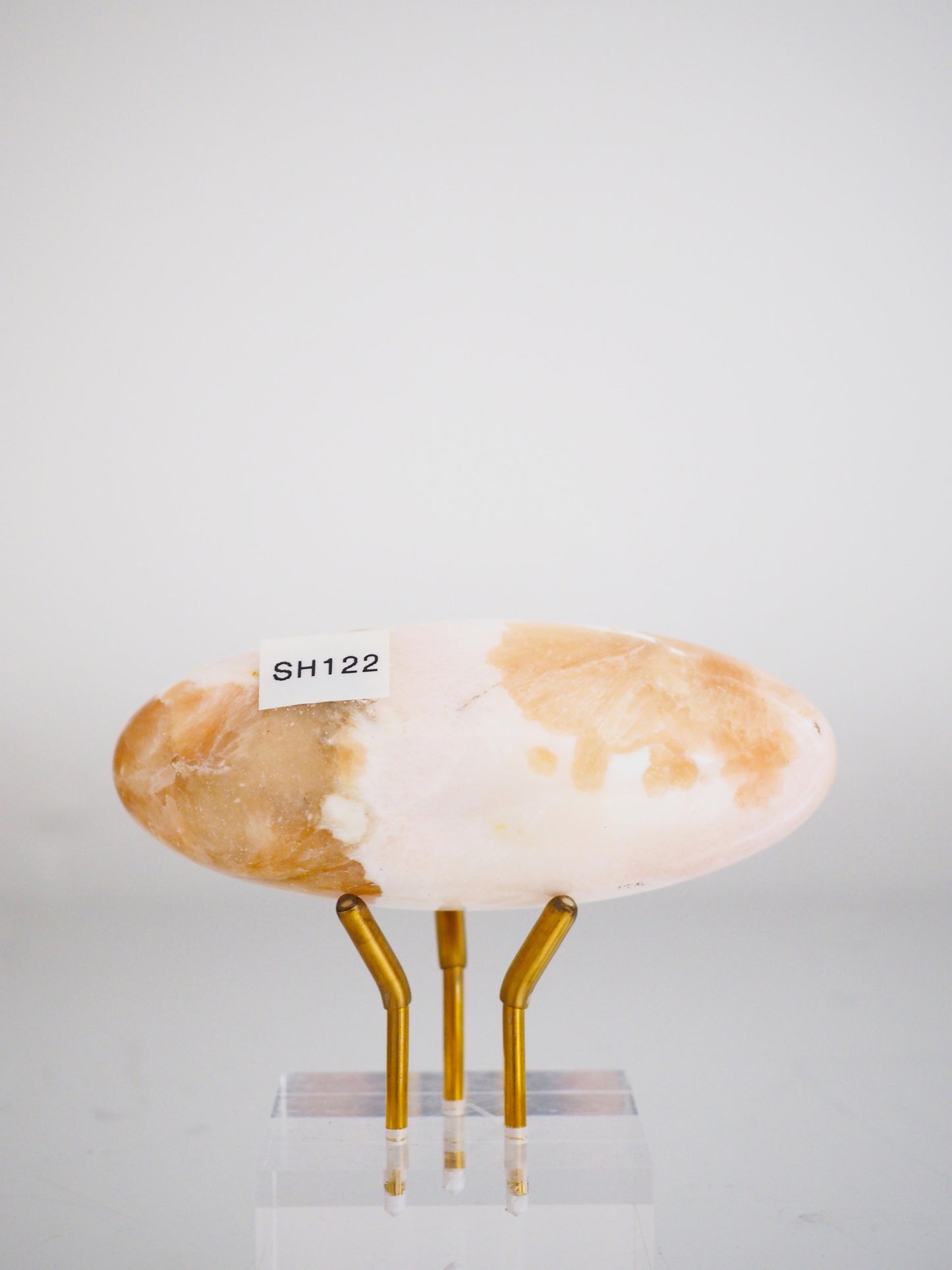 XL Skolescite X Stilbit Shiva ca. 10 cm - Indien HIGH QUALITY