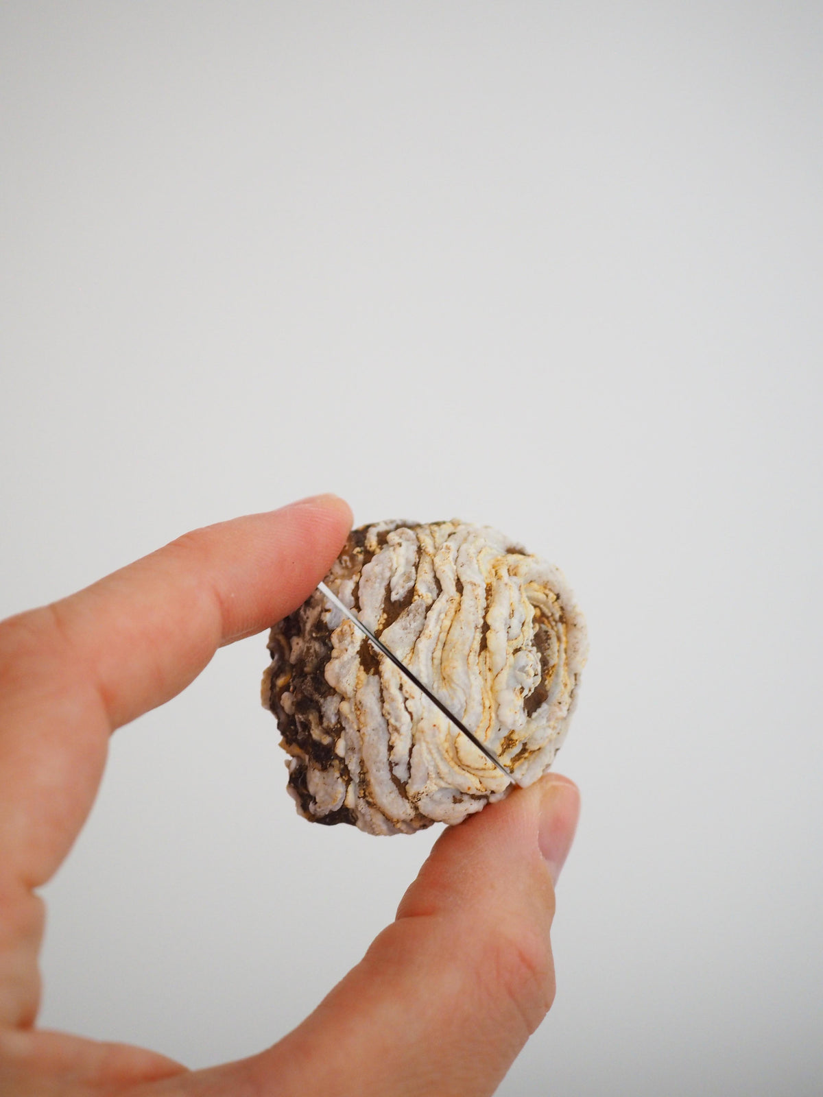 LIEBES Druzy Achat Geoden Paar anpoliert . LOVE Druzy Agate Geode Pair polished ca. 4 cm - aus Brasilien HIGH QUALITY