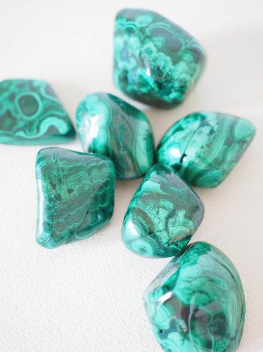 Chunky Malachit Trommel Stein . Malachite Tumble ca. 3 - 4 cm - aus D.R. Kongo