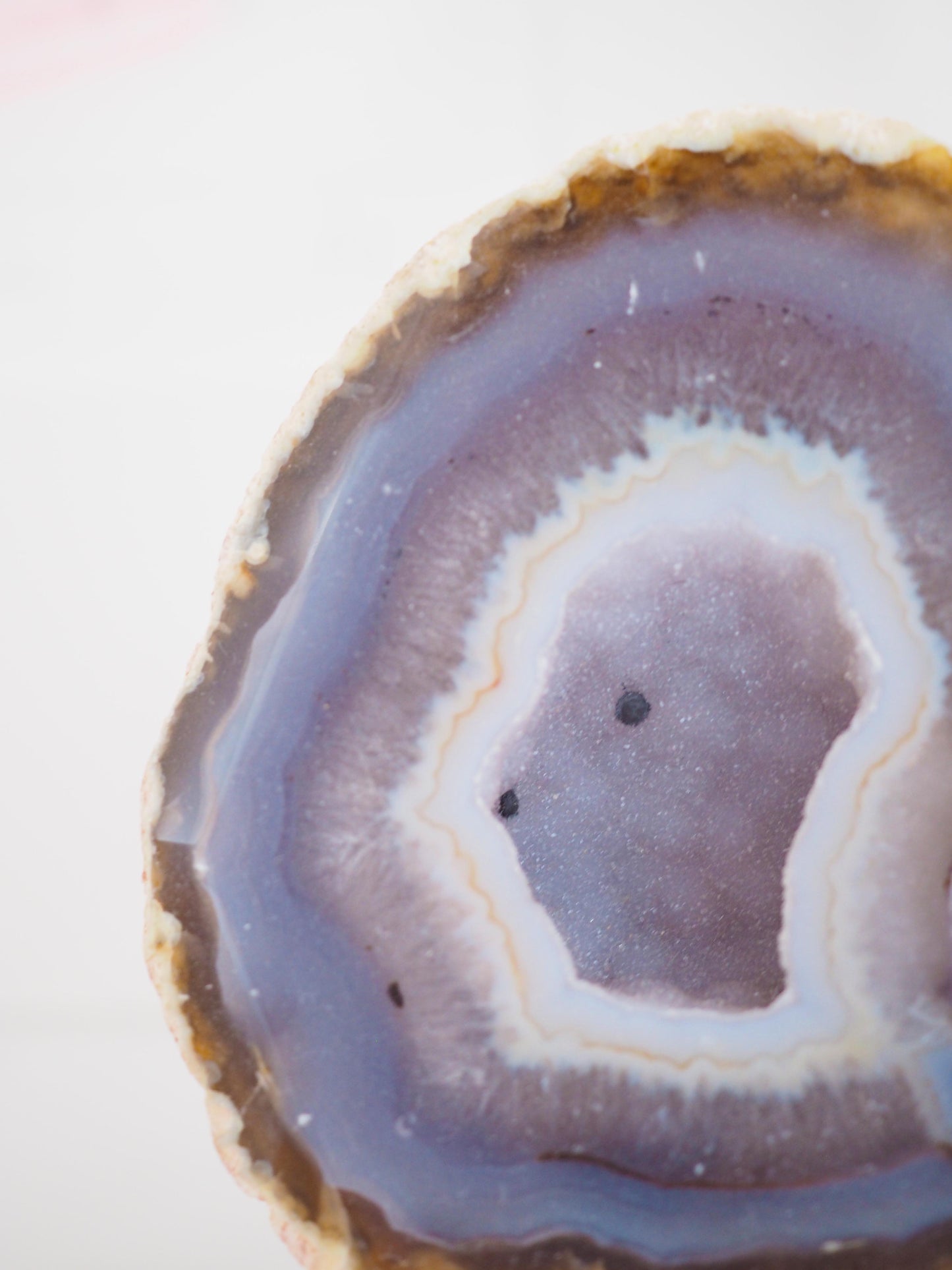 Druzy Blaue Achat Geode . Agate Geode ca xx cm - aus Brasilien HIGH QUALITY Handpoliert