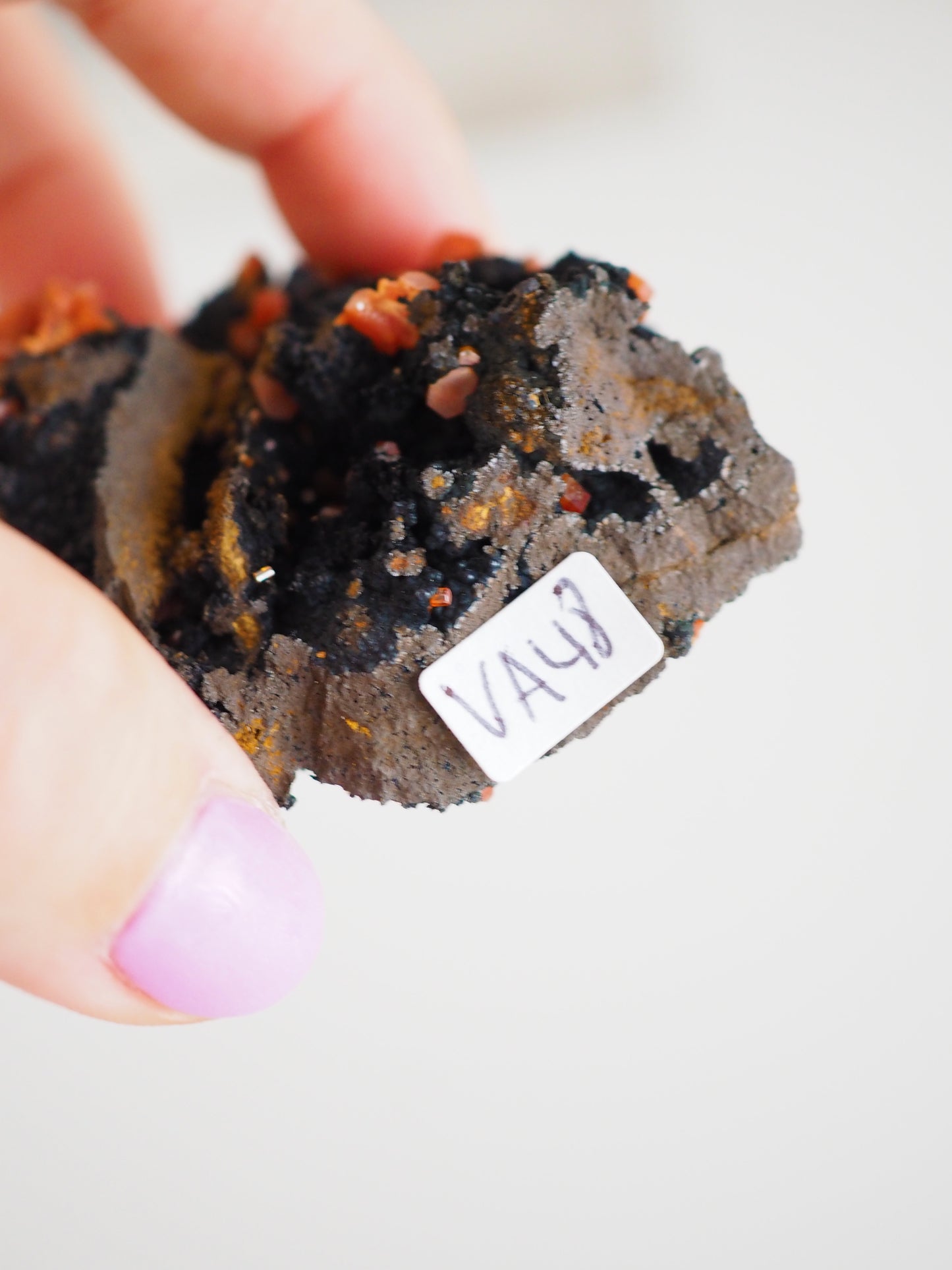Vanadinit mit Psilomelane . Goethite- aus Mibladen Bergbau Bezirk . Midelt. Marokko