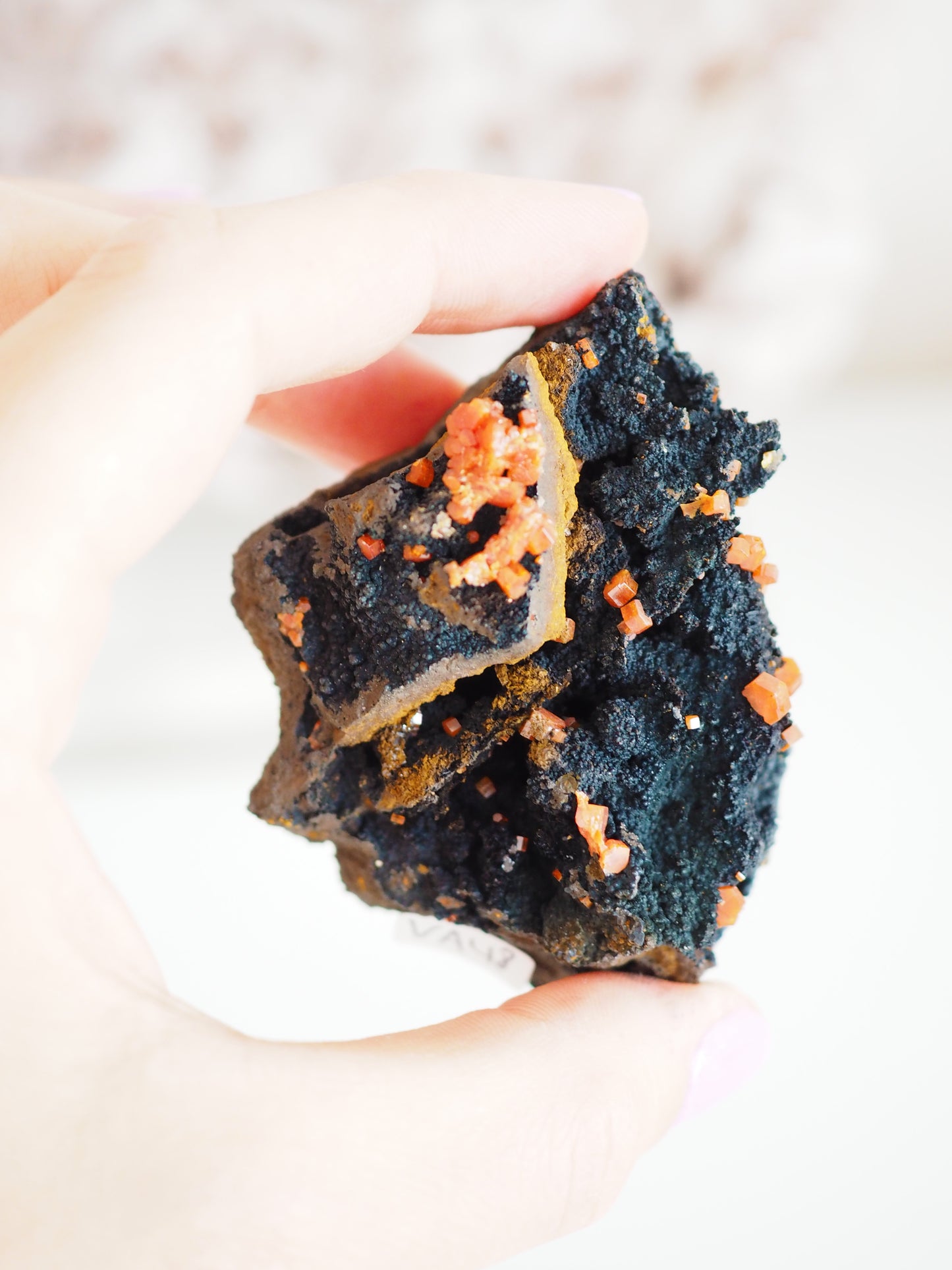 Vanadinit mit Psilomelane . Goethite- aus Mibladen Bergbau Bezirk . Midelt. Marokko