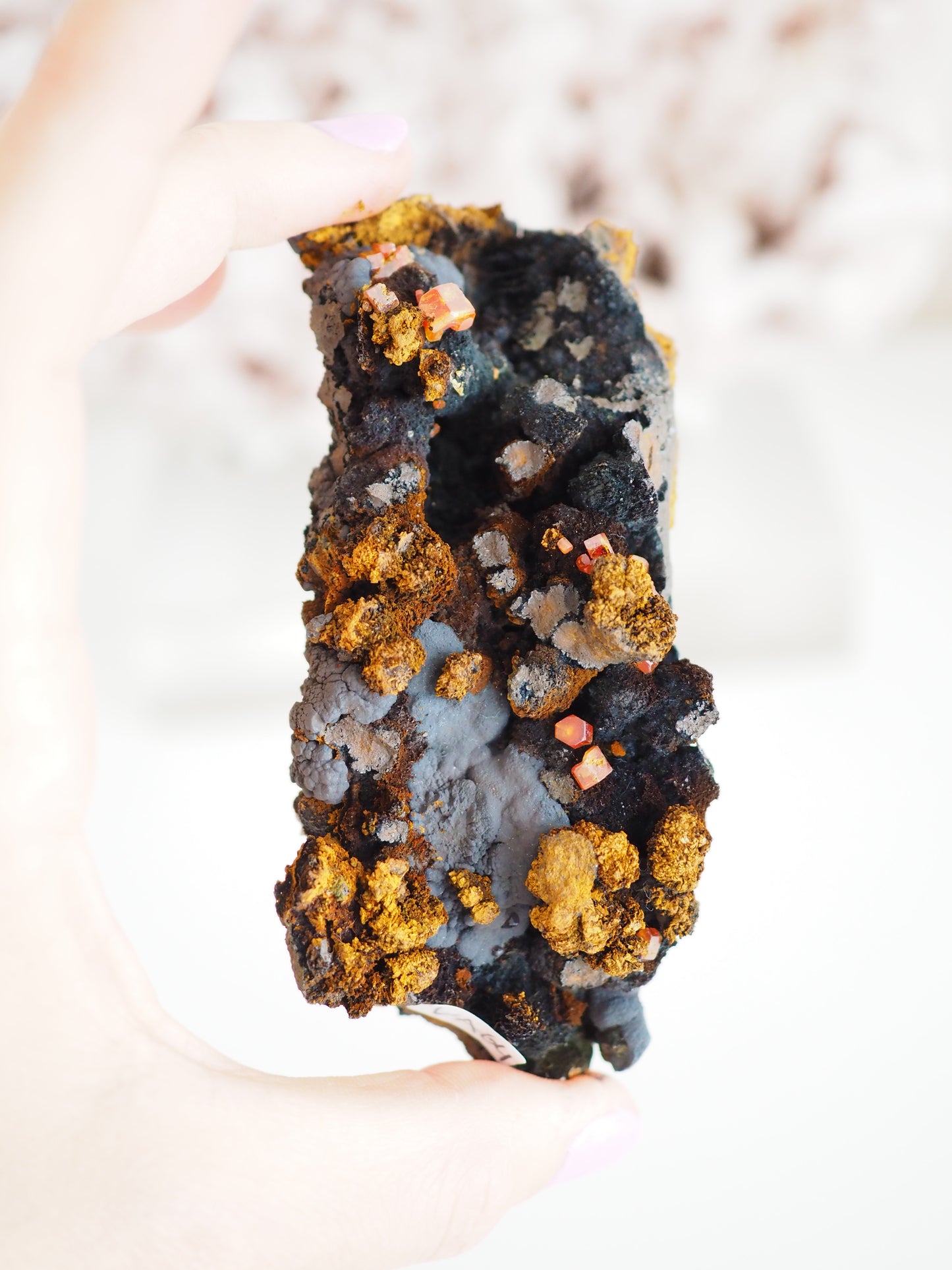 Vanadinit mit Psilomelane . Goethite- aus Mibladen Bergbau Bezirk . Midelt. Marokko