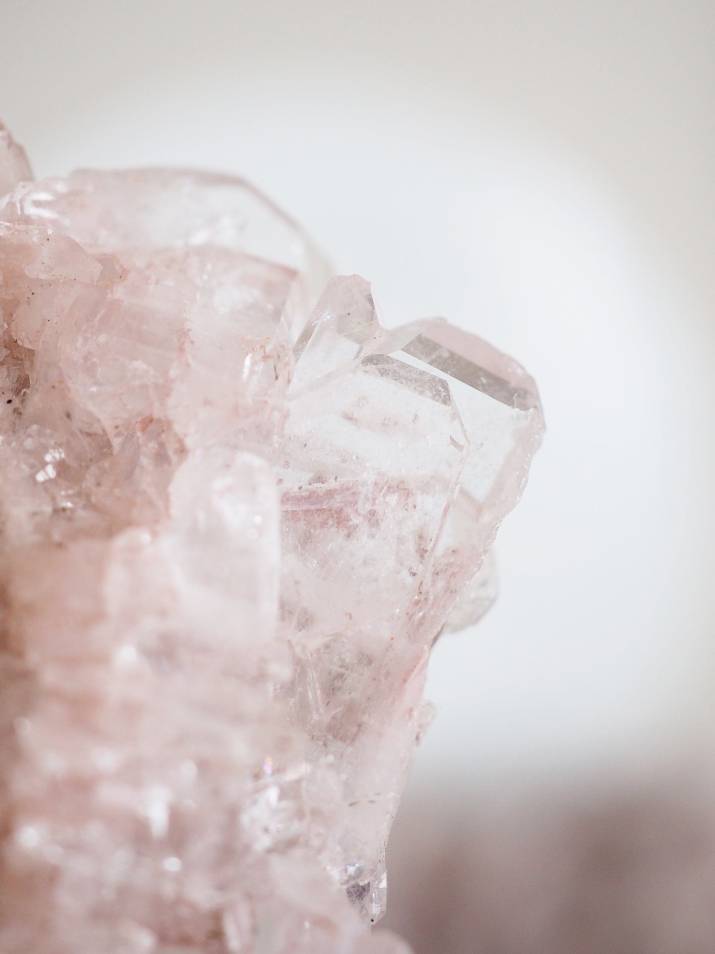 Sacred Pink Lemurian ca. xx cm - aus Santander. Colombia RARE HIGH QUALITY