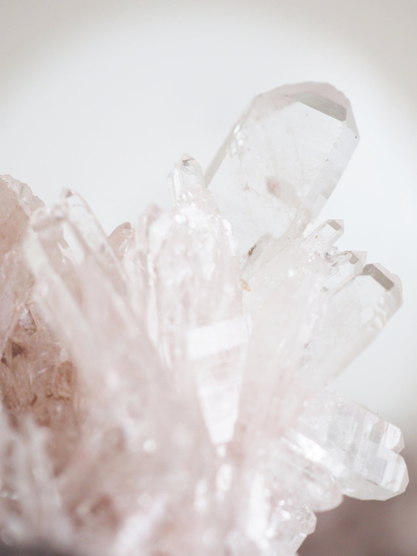 Sacred Pink Lemurian ca. xx cm - aus Santander. Colombia RARE HIGH QUALITY