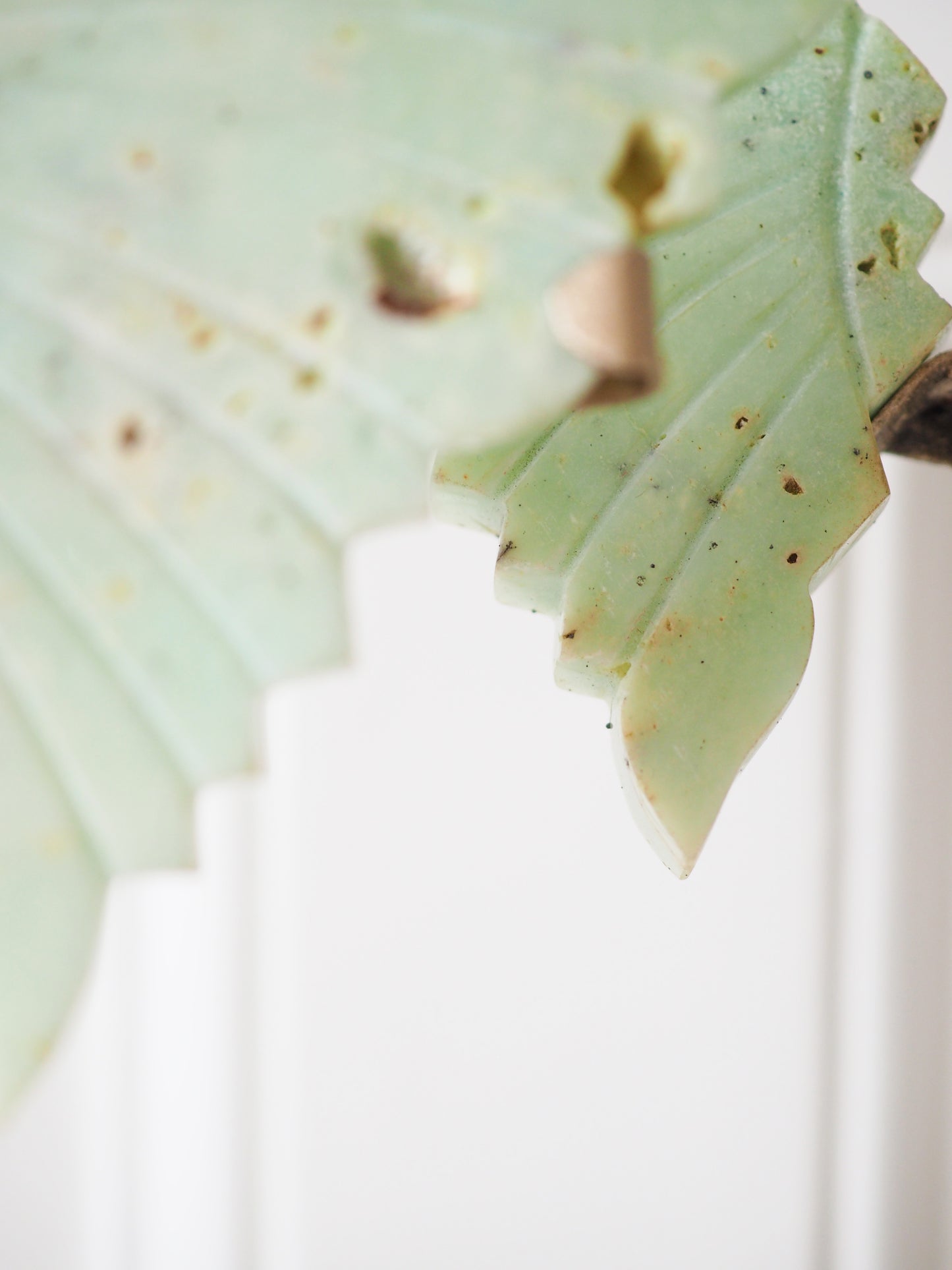 S Chrysopras Schmetterling auf Ständer ca. xxcm - aus Indonesien Handcarved