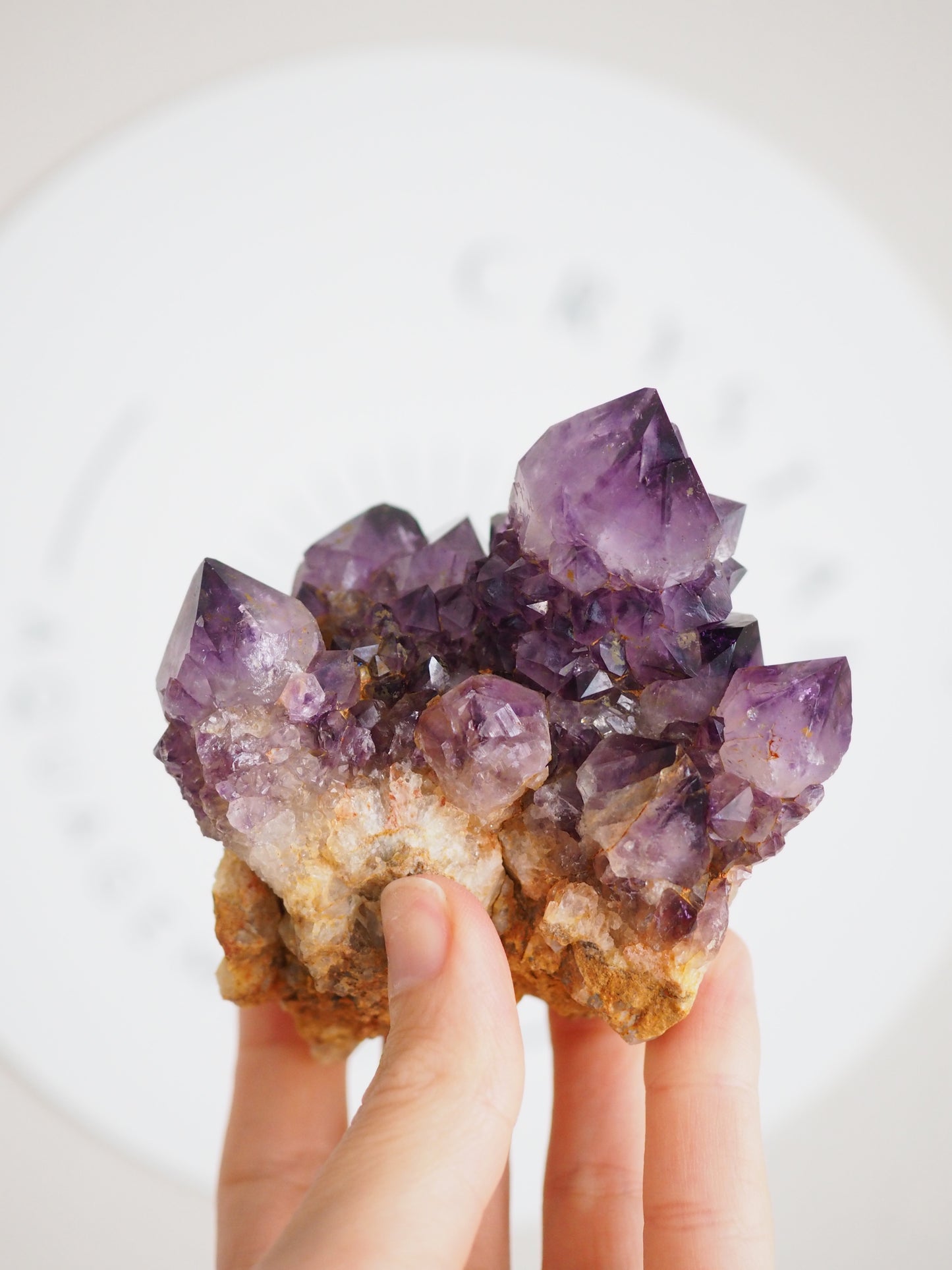 Kaktus Quarz Deep Violett . Spirit Quarz - aus Boekenhouthoek. Mpumalanga. Südafrika HIGH QUALITY