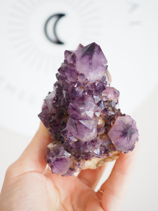 Kaktus Quarz Deep Violett . Spirit Quarz - aus Boekenhouthoek. Mpumalanga. Südafrika HIGH QUALITY