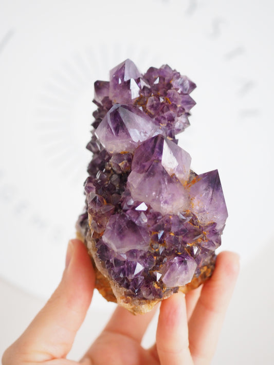 Kaktus Quarz Deep Violett . Spirit Quarz - aus Boekenhouthoek. Mpumalanga. Südafrika HIGH QUALITY