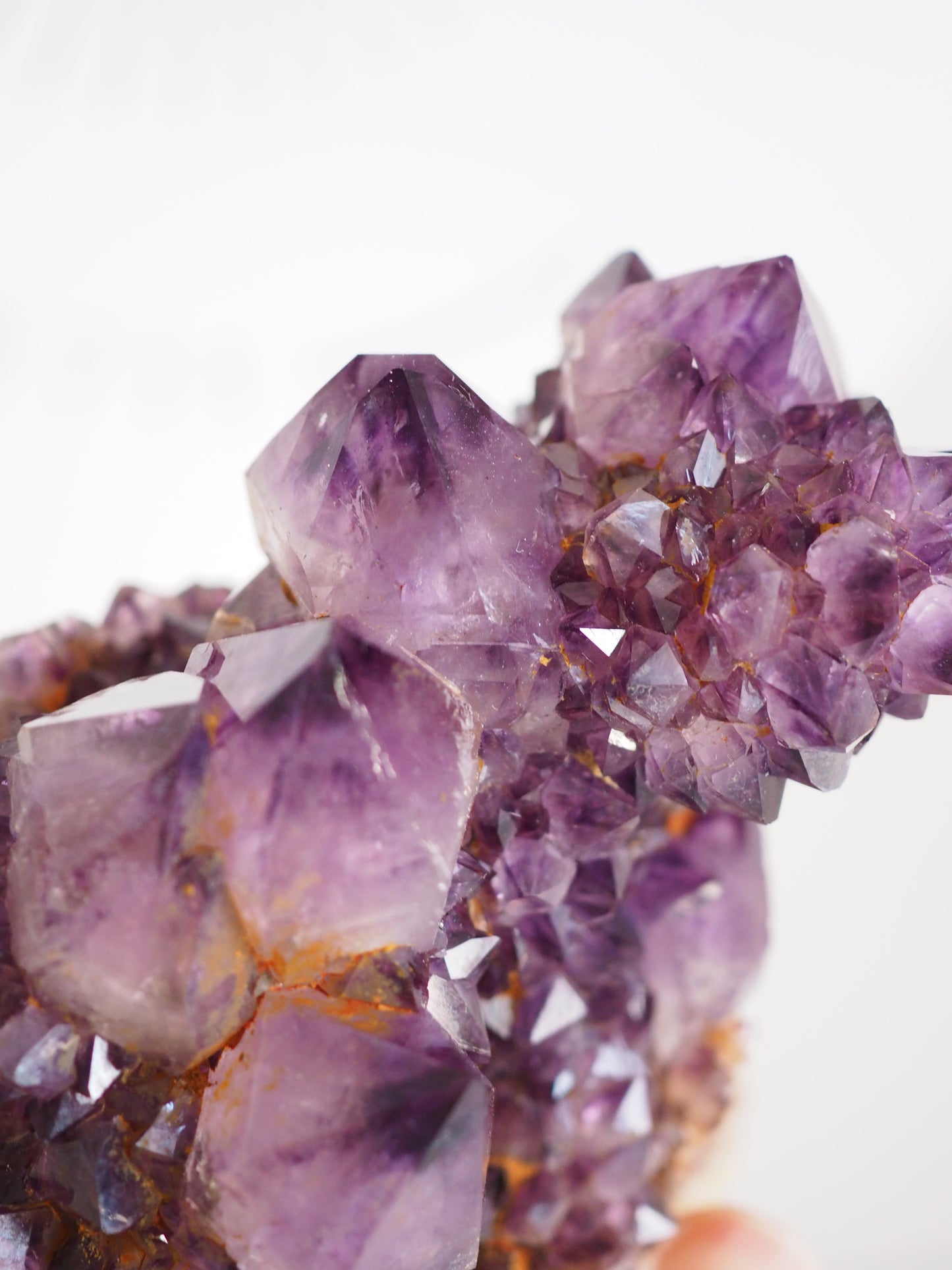 Kaktus Quarz Deep Violett . Spirit Quarz - aus Boekenhouthoek. Mpumalanga. Südafrika HIGH QUALITY