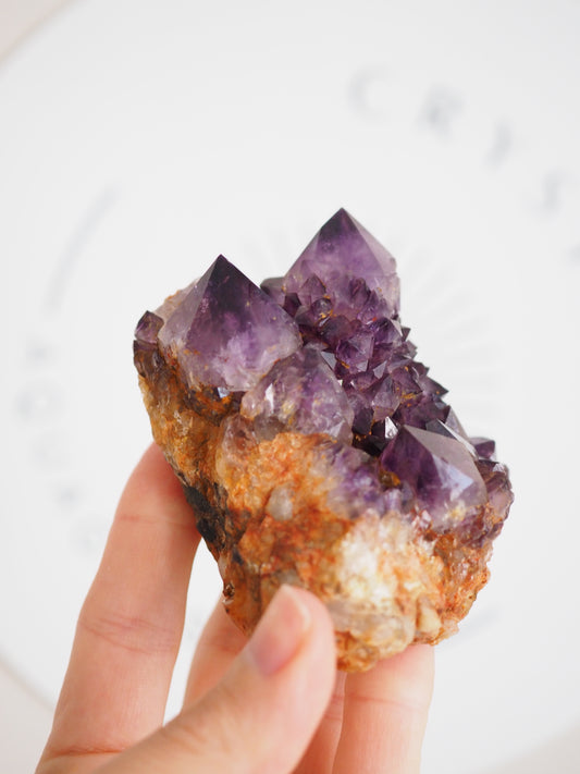 Kaktus Quarz Deep Violett . Spirit Quarz - aus Boekenhouthoek. Mpumalanga. Südafrika HIGH QUALITY