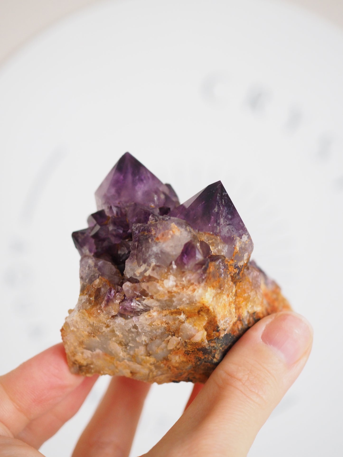 Kaktus Quarz Deep Violett . Spirit Quarz - aus Boekenhouthoek. Mpumalanga. Südafrika HIGH QUALITY