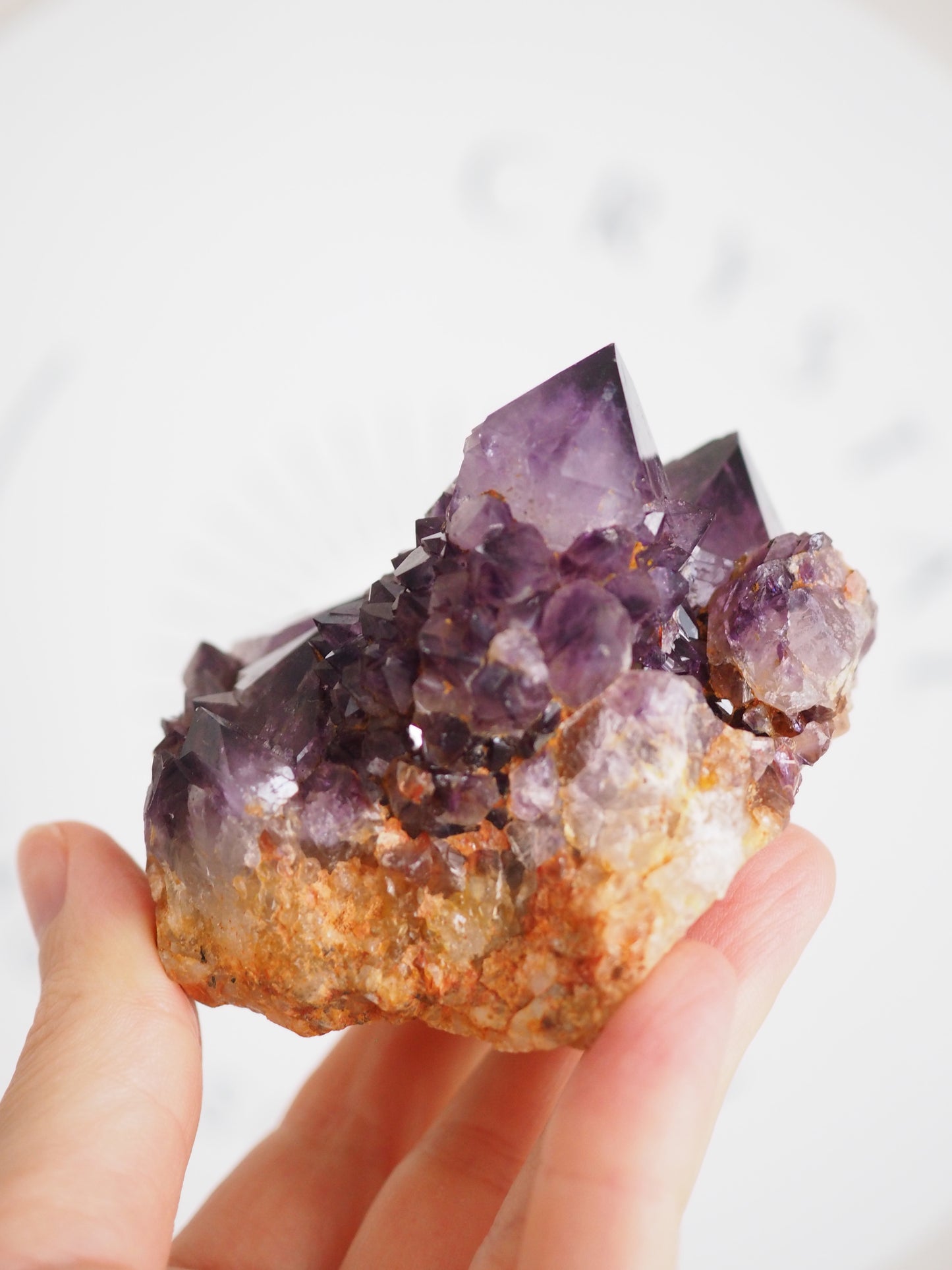 Kaktus Quarz Deep Violett . Spirit Quarz - aus Boekenhouthoek. Mpumalanga. Südafrika HIGH QUALITY