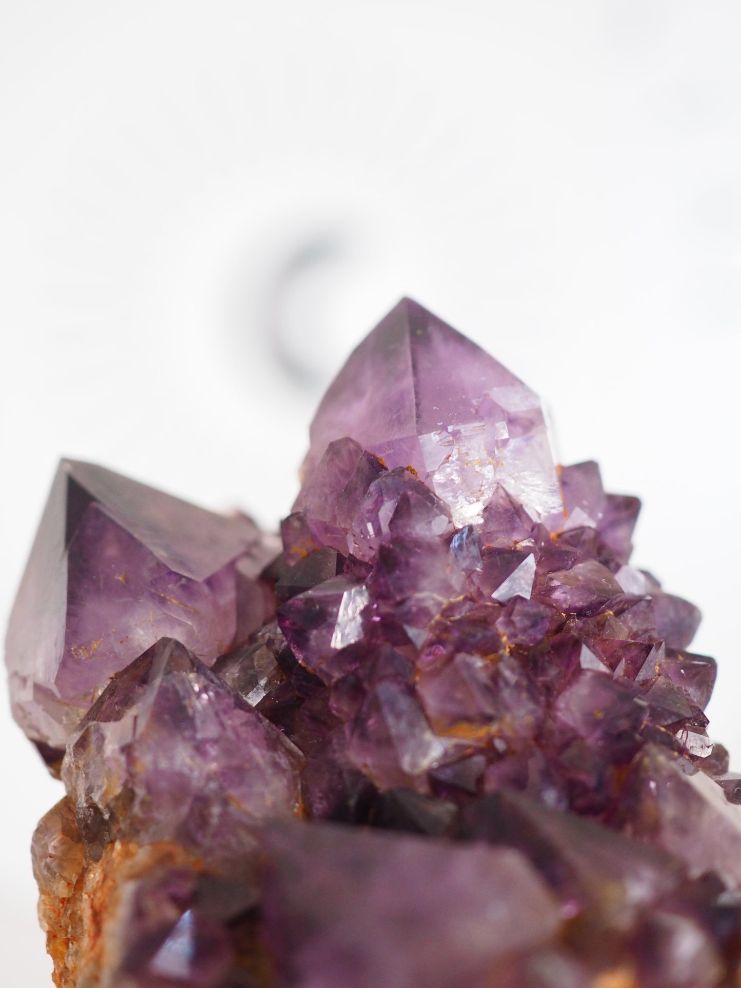 Kaktus Quarz Deep Violett . Spirit Quarz - aus Boekenhouthoek. Mpumalanga. Südafrika HIGH QUALITY