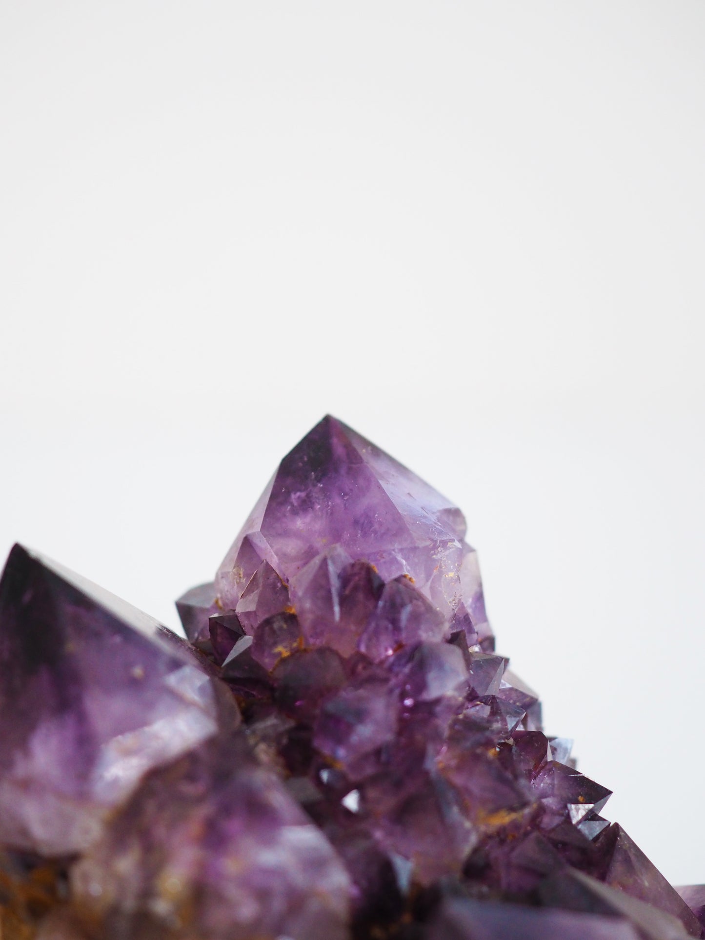 Kaktus Quarz Deep Violett . Spirit Quarz - aus Boekenhouthoek. Mpumalanga. Südafrika HIGH QUALITY