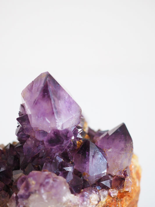 Kaktus Quarz Deep Violett . Spirit Quarz - aus Boekenhouthoek. Mpumalanga. Südafrika HIGH QUALITY