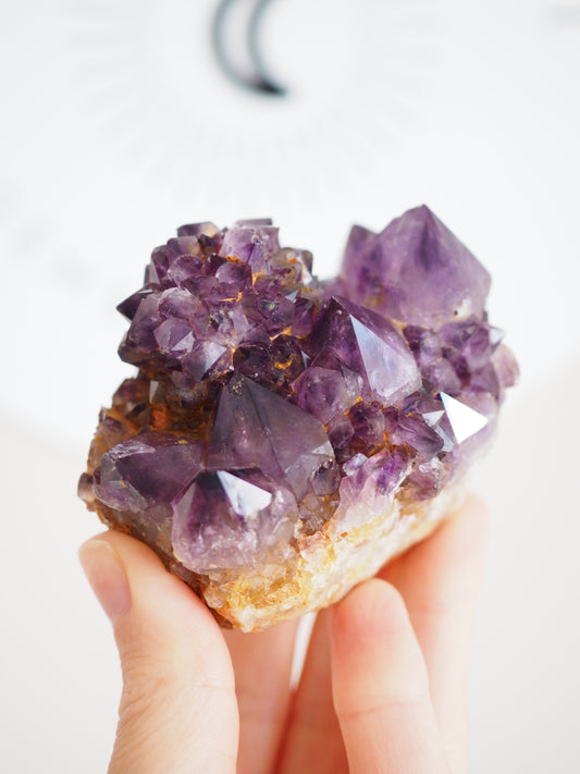 Kaktus Quarz Deep Violett . Spirit Quarz - aus Boekenhouthoek. Mpumalanga. Südafrika HIGH QUALITY