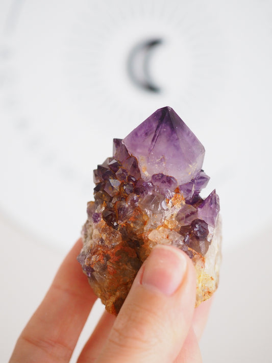 Kaktus Quarz Deep Violett . Spirit Quarz - aus Boekenhouthoek. Mpumalanga. Südafrika HIGH QUALITY