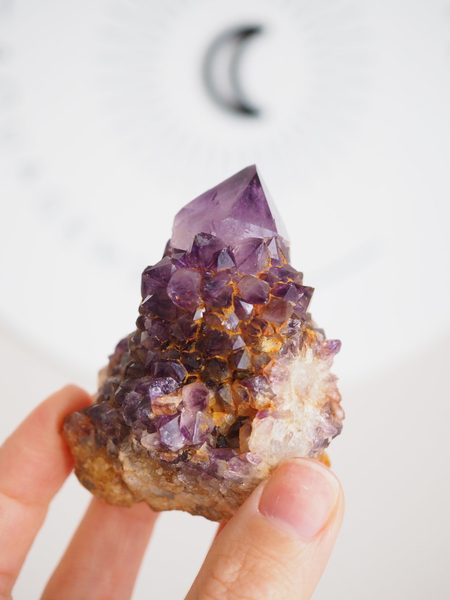 Kaktus Quarz Deep Violett . Spirit Quarz - aus Boekenhouthoek. Mpumalanga. Südafrika HIGH QUALITY