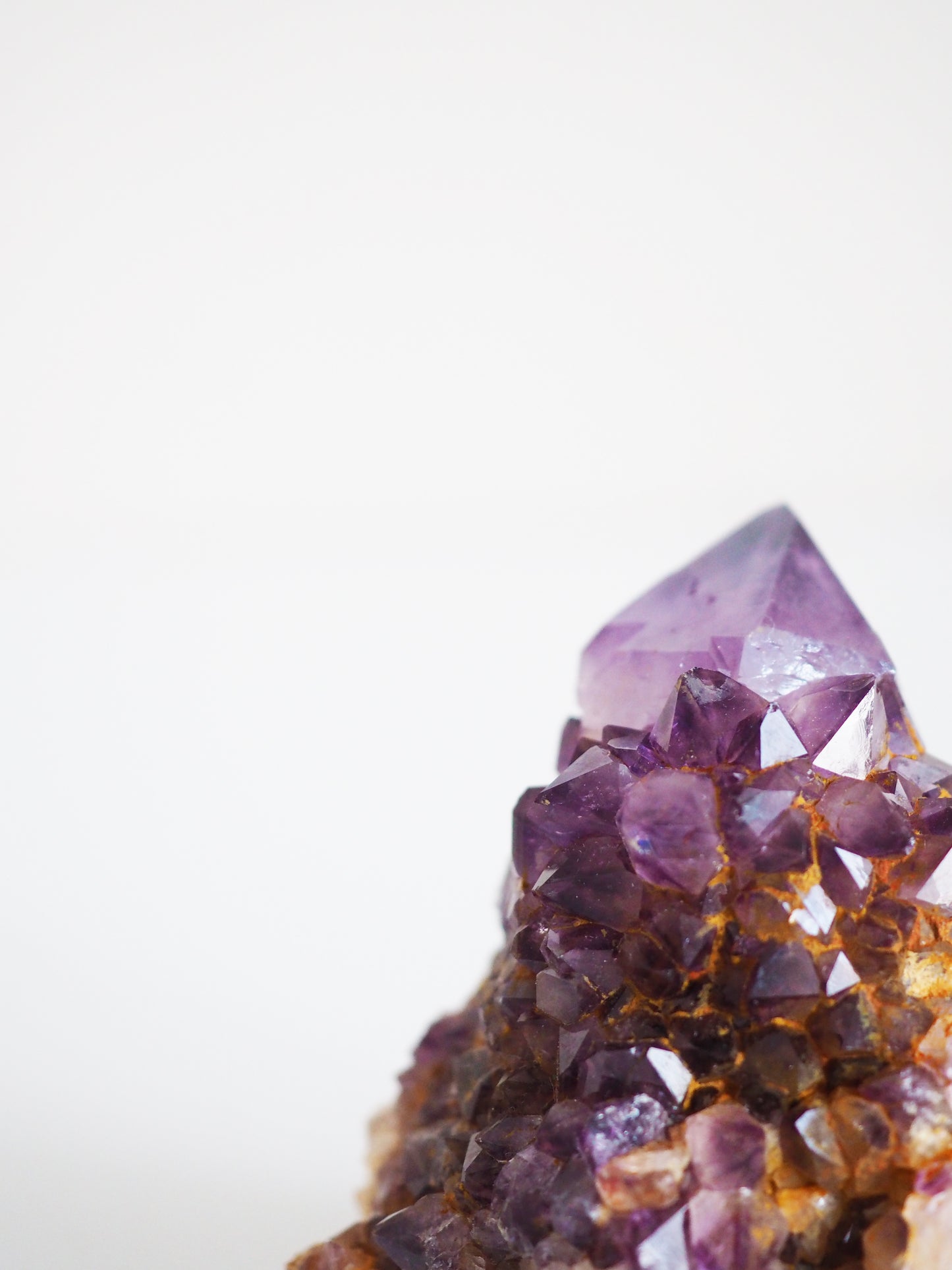Kaktus Quarz Deep Violett . Spirit Quarz - aus Boekenhouthoek. Mpumalanga. Südafrika HIGH QUALITY