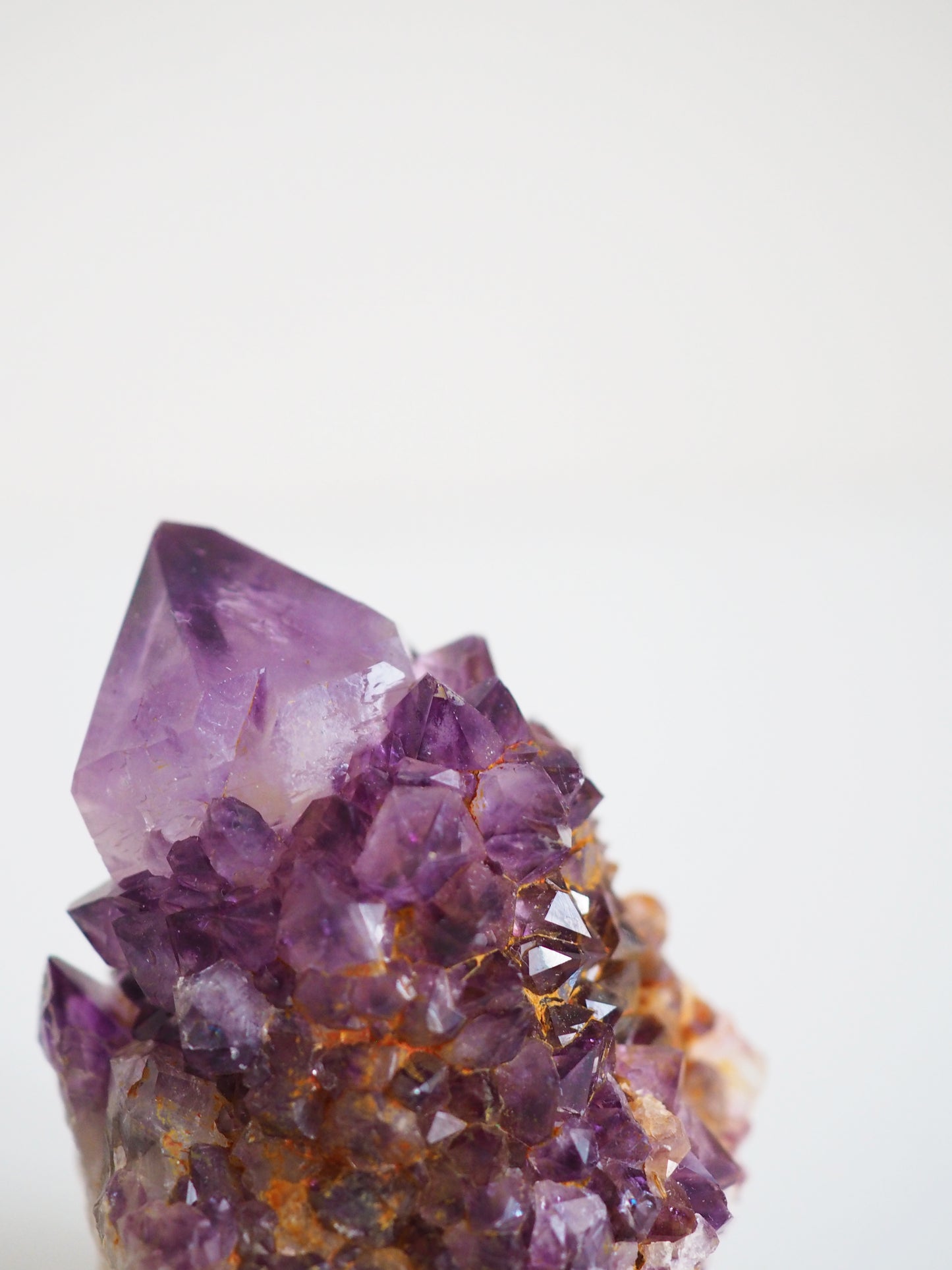 Kaktus Quarz Deep Violett . Spirit Quarz - aus Boekenhouthoek. Mpumalanga. Südafrika HIGH QUALITY