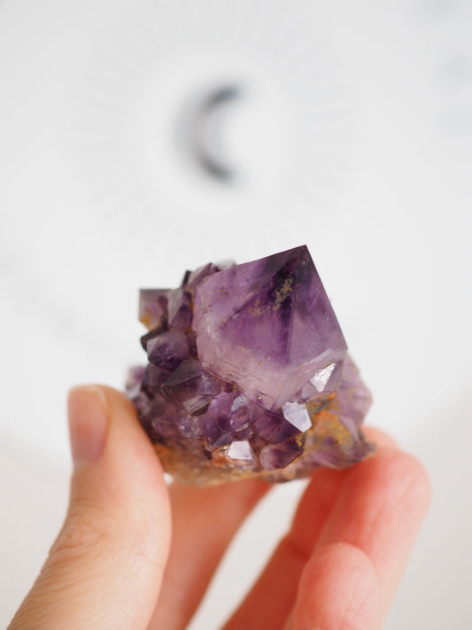 Kaktus Quarz Deep Violett . Spirit Quarz - aus Boekenhouthoek. Mpumalanga. Südafrika HIGH QUALITY