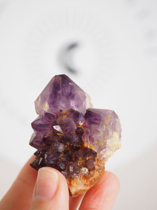 Kaktus Quarz Deep Violett . Spirit Quarz - aus Boekenhouthoek. Mpumalanga. Südafrika HIGH QUALITY