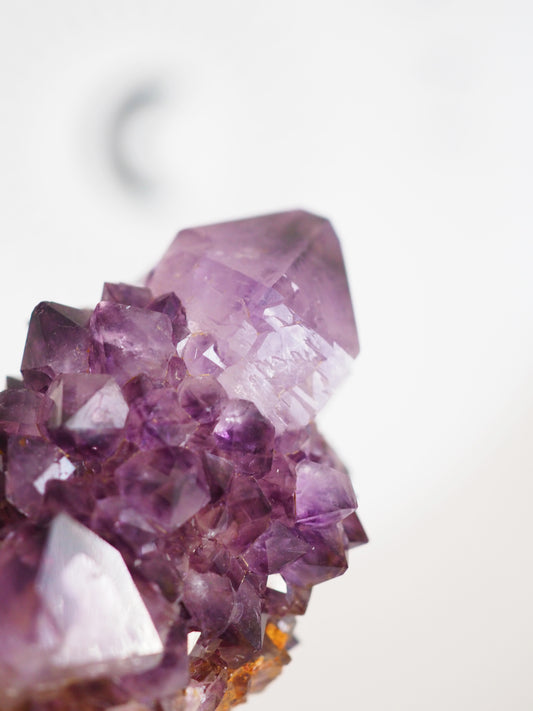 Kaktus Quarz Deep Violett . Spirit Quarz - aus Boekenhouthoek. Mpumalanga. Südafrika HIGH QUALITY