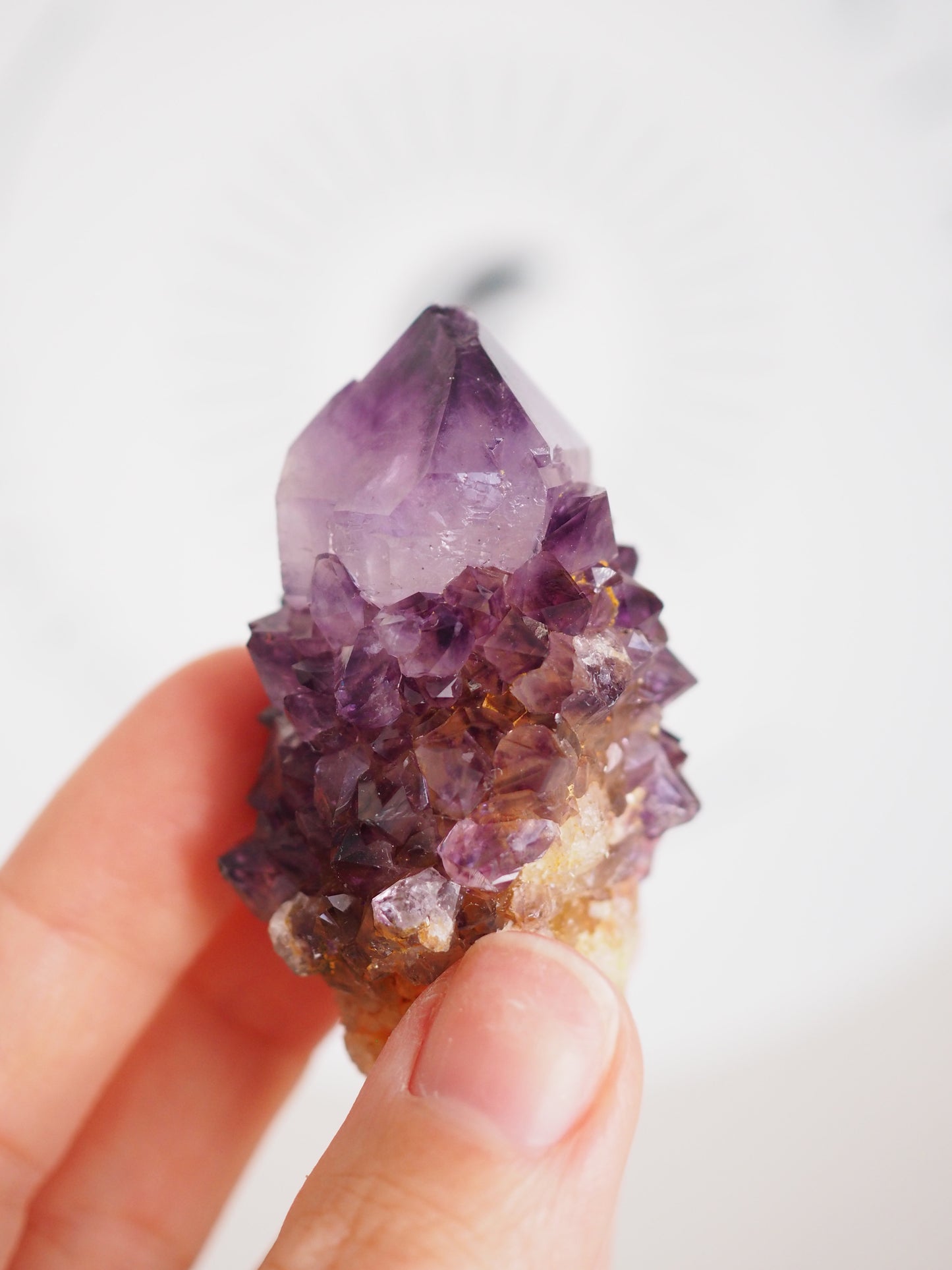 Kaktus Quarz Deep Violett . Spirit Quarz - aus Boekenhouthoek. Mpumalanga. Südafrika HIGH QUALITY