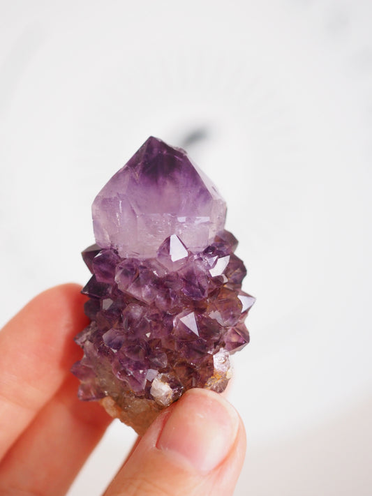 Kaktus Quarz Deep Violett . Spirit Quarz - aus Boekenhouthoek. Mpumalanga. Südafrika HIGH QUALITY