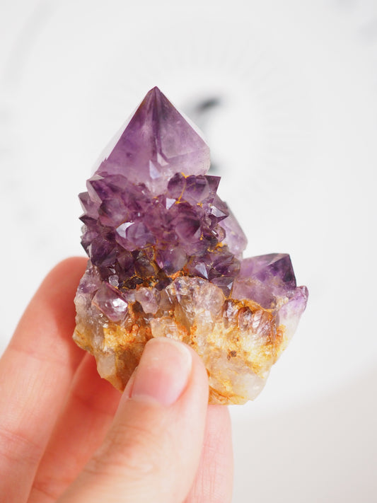 Kaktus Quarz Deep Violett . Spirit Quarz - aus Boekenhouthoek. Mpumalanga. Südafrika HIGH QUALITY