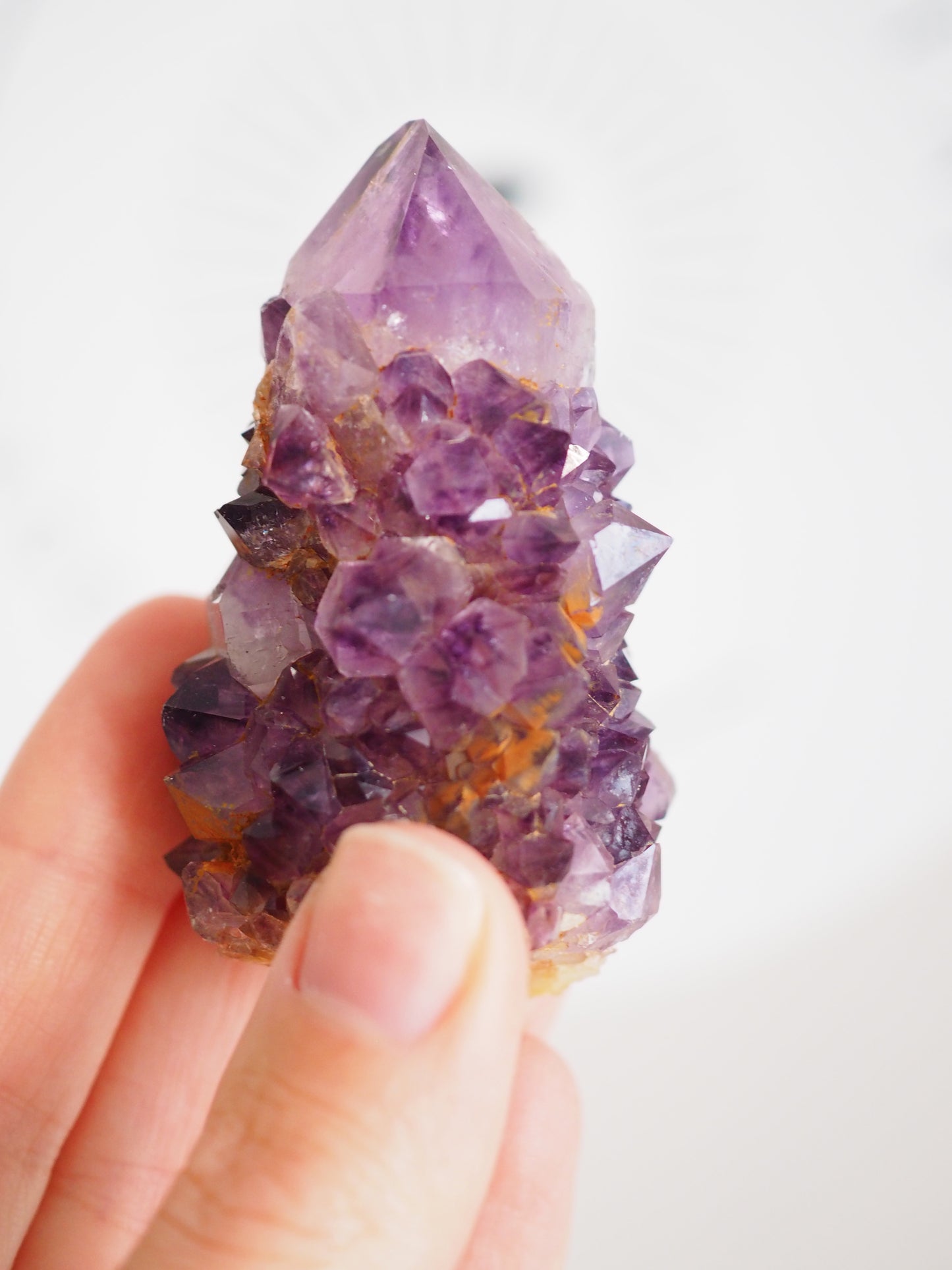 Kaktus Quarz Deep Violett . Spirit Quarz - aus Boekenhouthoek. Mpumalanga. Südafrika HIGH QUALITY