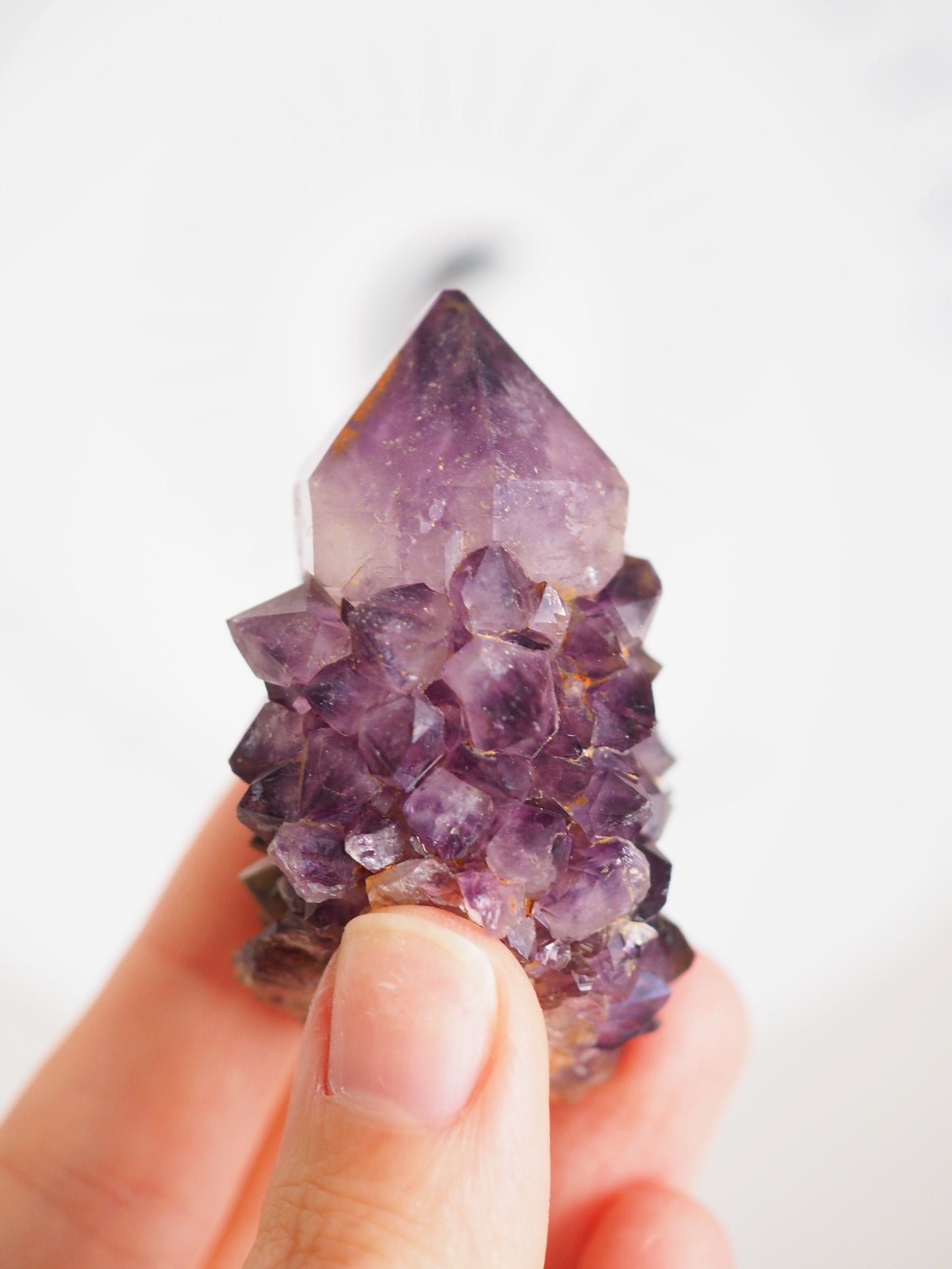 Kaktus Quarz Deep Violett . Spirit Quarz - aus Boekenhouthoek. Mpumalanga. Südafrika HIGH QUALITY