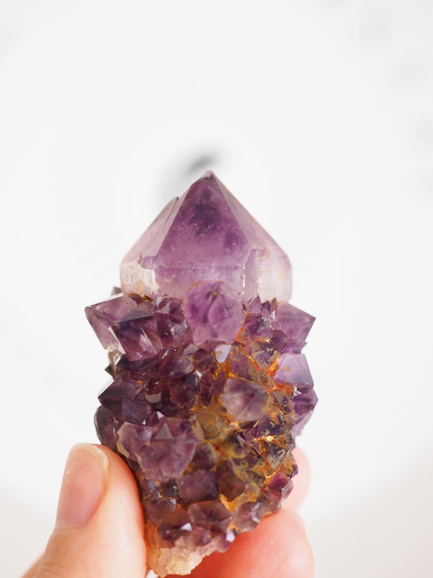 Kaktus Quarz Deep Violett . Spirit Quarz - aus Boekenhouthoek. Mpumalanga. Südafrika HIGH QUALITY