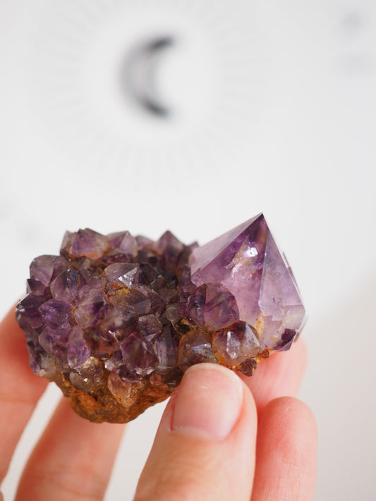 Kaktus Quarz Deep Violett . Spirit Quarz - aus Boekenhouthoek. Mpumalanga. Südafrika HIGH QUALITY